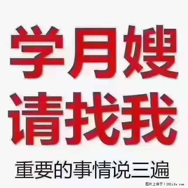 为什么要学习月嫂,育婴师? - 其他广告 - 广告专区 - 邵阳分类信息 - 邵阳28生活网 shaoyang.28life.com