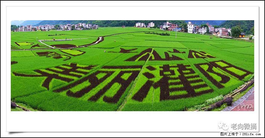 【春天,广西桂林灌阳县向您发出邀请!】开篇 - 游山玩水 - 邵阳生活社区 - 邵阳28生活网 shaoyang.28life.com