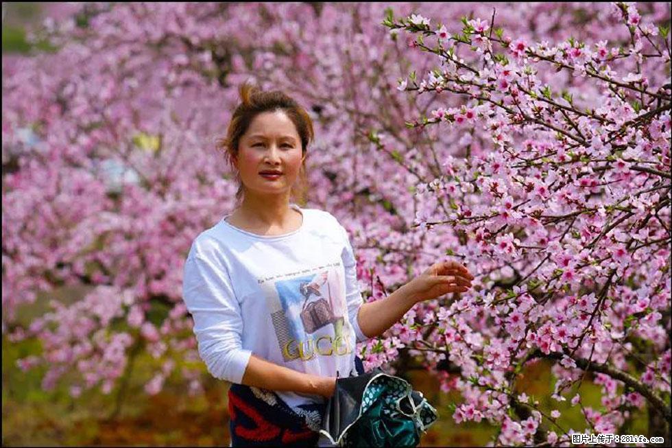 【春天,广西桂林灌阳县向您发出邀请!】官庄村有个醉美的桃花园 - 游山玩水 - 邵阳生活社区 - 邵阳28生活网 shaoyang.28life.com