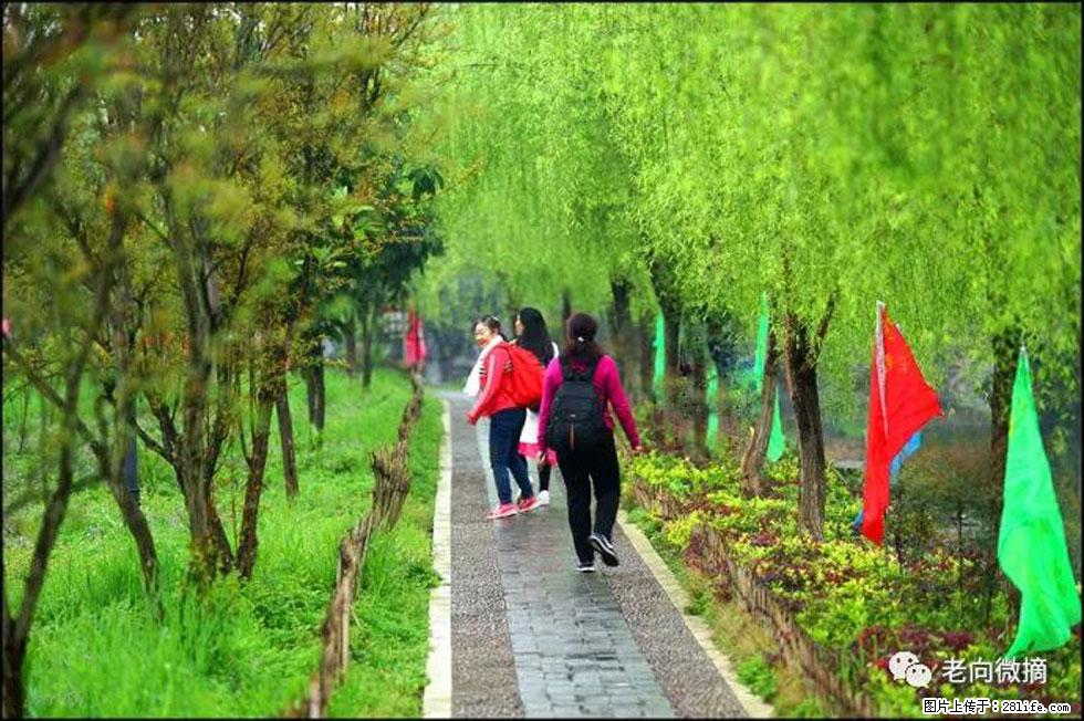 【春天,广西桂林灌阳县向您发出邀请!】江口老街又逢春 - 游山玩水 - 邵阳生活社区 - 邵阳28生活网 shaoyang.28life.com