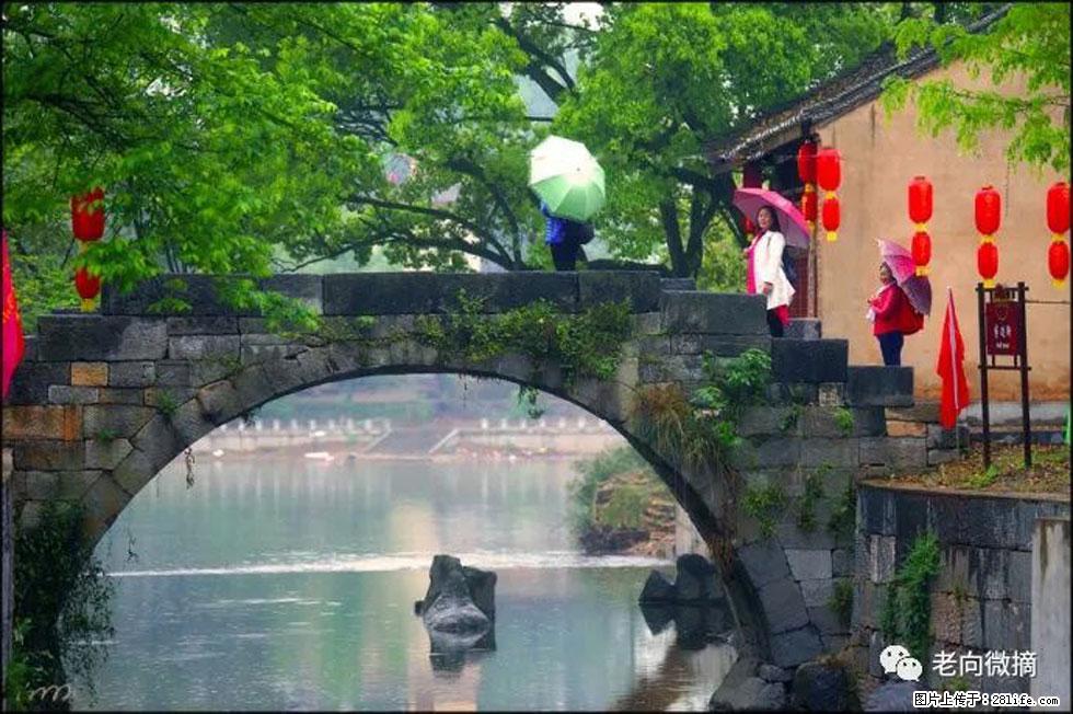 【春天,广西桂林灌阳县向您发出邀请!】江口老街又逢春 - 游山玩水 - 邵阳生活社区 - 邵阳28生活网 shaoyang.28life.com