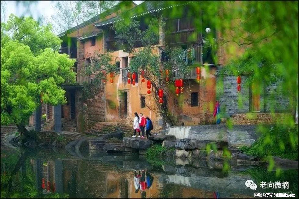 【春天,广西桂林灌阳县向您发出邀请!】江口老街又逢春 - 游山玩水 - 邵阳生活社区 - 邵阳28生活网 shaoyang.28life.com