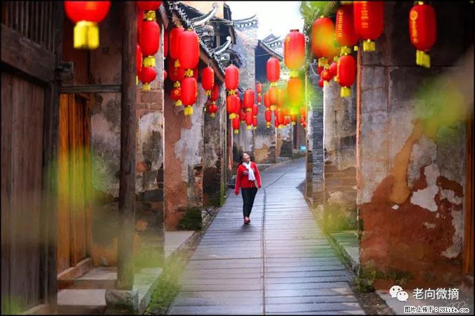 【春天,广西桂林灌阳县向您发出邀请!】江口老街又逢春 - 游山玩水 - 邵阳生活社区 - 邵阳28生活网 shaoyang.28life.com