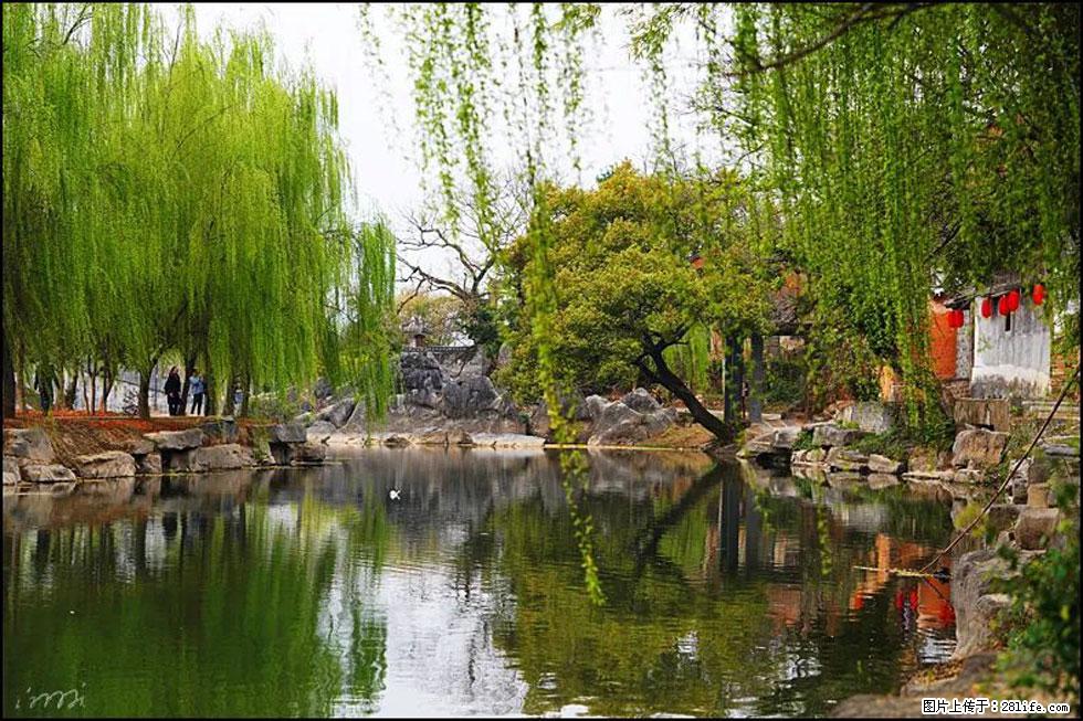 【春天,广西桂林灌阳县向您发出邀请!】江口老街又逢春 - 游山玩水 - 邵阳生活社区 - 邵阳28生活网 shaoyang.28life.com