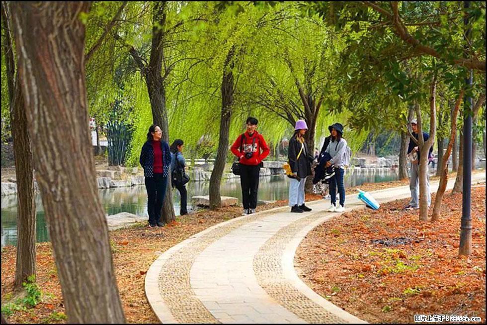 【春天,广西桂林灌阳县向您发出邀请!】江口老街又逢春 - 游山玩水 - 邵阳生活社区 - 邵阳28生活网 shaoyang.28life.com