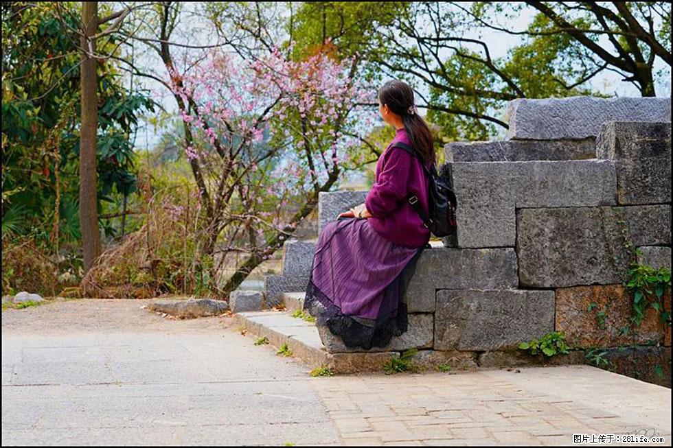 【春天,广西桂林灌阳县向您发出邀请!】江口老街又逢春 - 游山玩水 - 邵阳生活社区 - 邵阳28生活网 shaoyang.28life.com