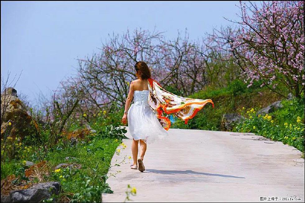 【春天,广西桂林灌阳县向您发出邀请!】望月岭上桃花开 - 游山玩水 - 邵阳生活社区 - 邵阳28生活网 shaoyang.28life.com