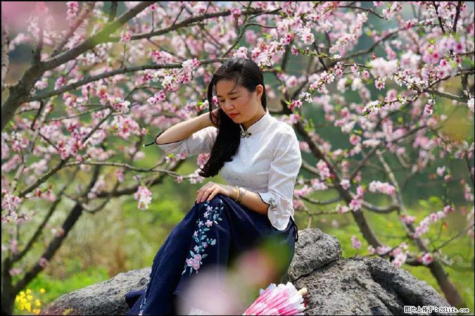 【春天,广西桂林灌阳县向您发出邀请!】望月岭上桃花开 - 游山玩水 - 邵阳生活社区 - 邵阳28生活网 shaoyang.28life.com