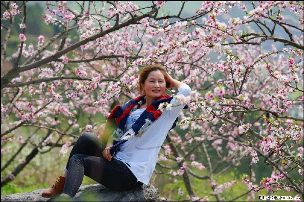 【春天,广西桂林灌阳县向您发出邀请!】望月岭上桃花开 - 游山玩水 - 邵阳生活社区 - 邵阳28生活网 shaoyang.28life.com