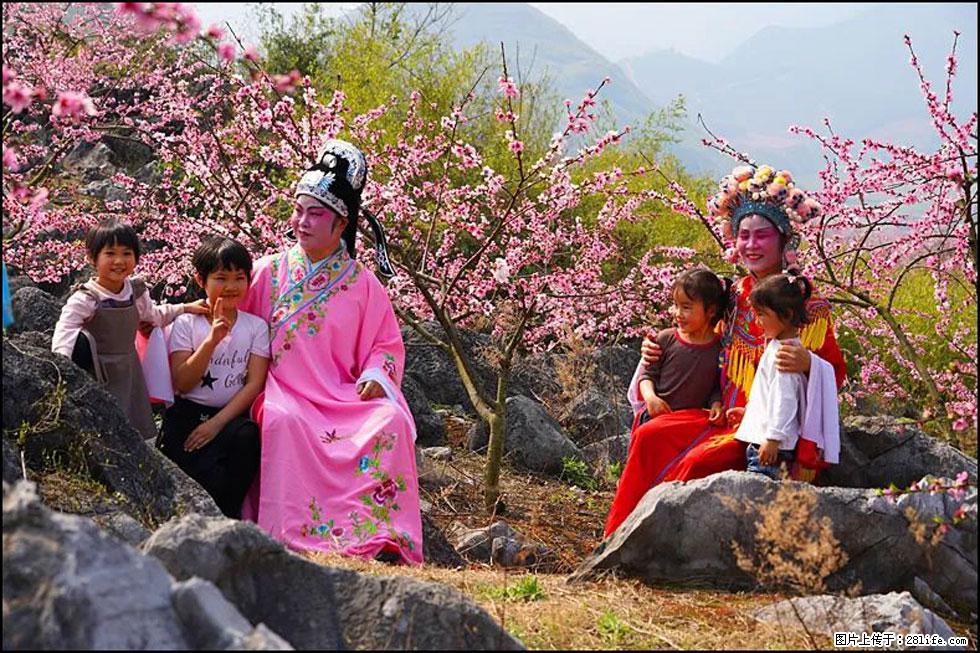 【春天,广西桂林灌阳县向您发出邀请!】望月岭上桃花开 - 游山玩水 - 邵阳生活社区 - 邵阳28生活网 shaoyang.28life.com