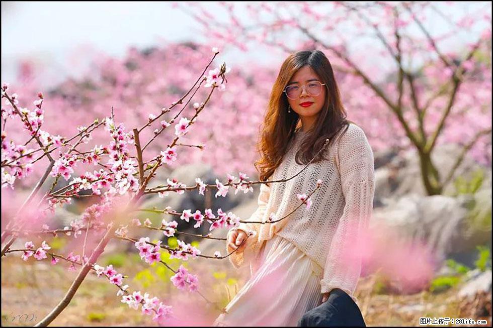 【春天,广西桂林灌阳县向您发出邀请!】望月岭上桃花开 - 游山玩水 - 邵阳生活社区 - 邵阳28生活网 shaoyang.28life.com