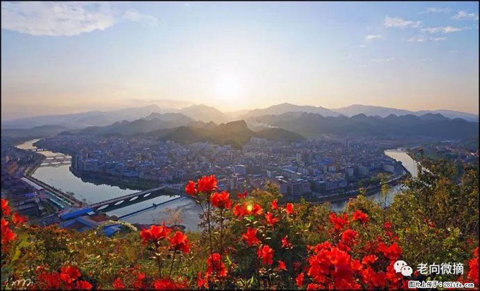 【春天,广西桂林灌阳县向您发出邀请!】登麒麟山,相约映山红 - 游山玩水 - 邵阳生活社区 - 邵阳28生活网 shaoyang.28life.com