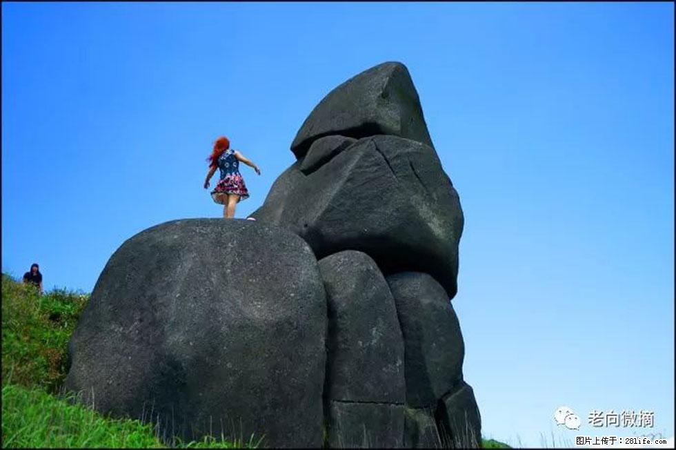 【春天,广西桂林灌阳县向您发出邀请!】宝盖山上映山红 - 游山玩水 - 邵阳生活社区 - 邵阳28生活网 shaoyang.28life.com