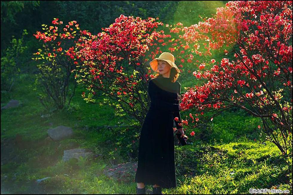 【春天,广西桂林灌阳县向您发出邀请!】春木界上映山红 - 游山玩水 - 邵阳生活社区 - 邵阳28生活网 shaoyang.28life.com