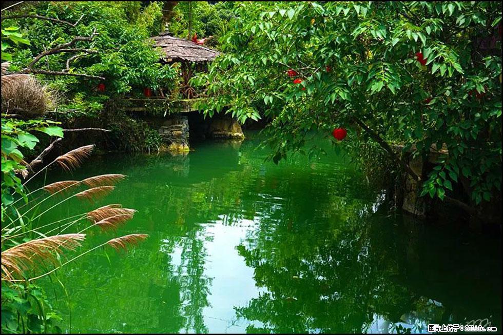 【春天,广西桂林灌阳县向您发出邀请!】如梦似幻莲溪庐 - 游山玩水 - 邵阳生活社区 - 邵阳28生活网 shaoyang.28life.com