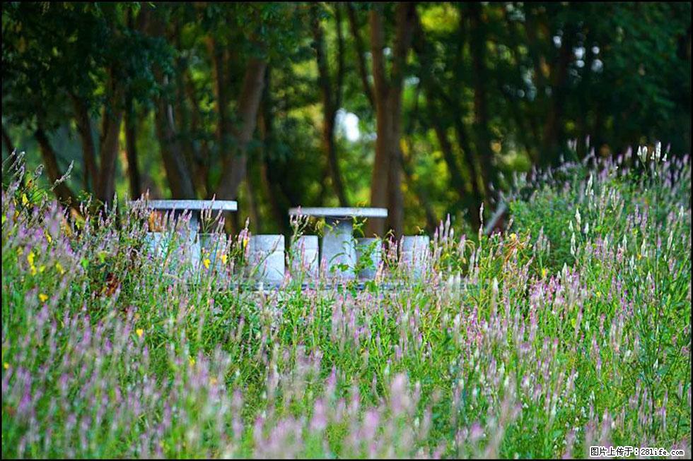 【春天,广西桂林灌阳县向您发出邀请!】熊家寨湿地公园 - 游山玩水 - 邵阳生活社区 - 邵阳28生活网 shaoyang.28life.com