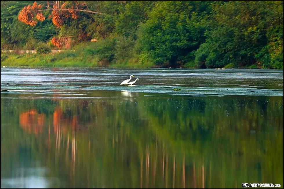 【春天,广西桂林灌阳县向您发出邀请!】熊家寨湿地公园 - 游山玩水 - 邵阳生活社区 - 邵阳28生活网 shaoyang.28life.com
