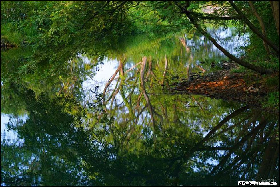 【春天,广西桂林灌阳县向您发出邀请!】熊家寨湿地公园 - 游山玩水 - 邵阳生活社区 - 邵阳28生活网 shaoyang.28life.com