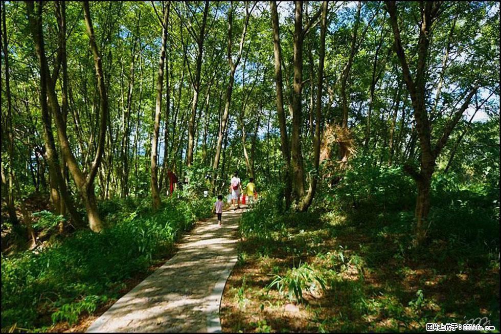 【春天,广西桂林灌阳县向您发出邀请!】熊家寨湿地公园 - 游山玩水 - 邵阳生活社区 - 邵阳28生活网 shaoyang.28life.com