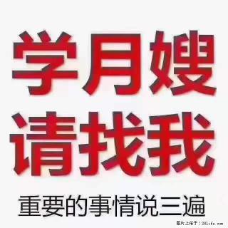 为什么要学习月嫂，育婴师？ - 邵阳28生活网 shaoyang.28life.com