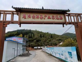 【灌阳县油茶产业示范区】一个有着充实的精神生活的人，对待身外之物自会有一种淡泊的态度 - 邵阳28生活网 shaoyang.28life.com