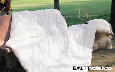 被子有异味？只要这样做，比晒太阳还强100倍！ - 家居生活 - 邵阳生活社区 - 邵阳28生活网 shaoyang.28life.com