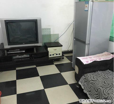 邵阳师范家属区 2室1卫1厅 - 房屋出租 - 房屋租售 - 邵阳分类信息 - 邵阳28生活网 shaoyang.28life.com