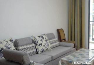 青城国际精装房，拎包入住。 - 邵阳28生活网 shaoyang.28life.com