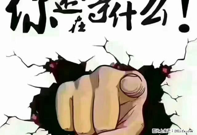 全新装修带家电，伶包即可入住！ - 房屋出租 - 房屋租售 - 邵阳分类信息 - 邵阳28生活网 shaoyang.28life.com