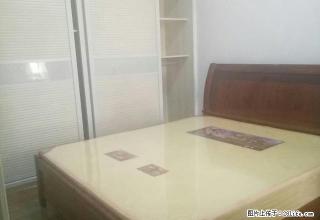 宝城花苑优质家电齐全精装租房 - 邵阳28生活网 shaoyang.28life.com