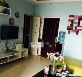 金泉凯旋城 城南公园 南站 全新装修品牌家电园林绿化交通方便 - 邵阳28生活网 shaoyang.28life.com