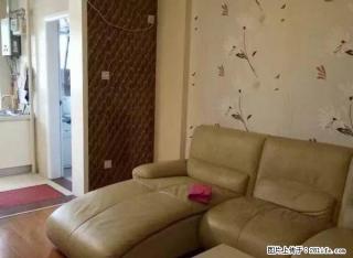 颐和苑 戴家坪 城南公园 全新装修品牌家电园林绿化交通方便 - 邵阳28生活网 shaoyang.28life.com