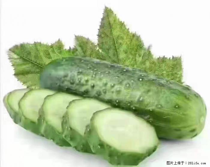 【生活小常识】吃黄瓜的好处 - 生活百科 - 邵阳生活社区 - 邵阳28生活网 shaoyang.28life.com