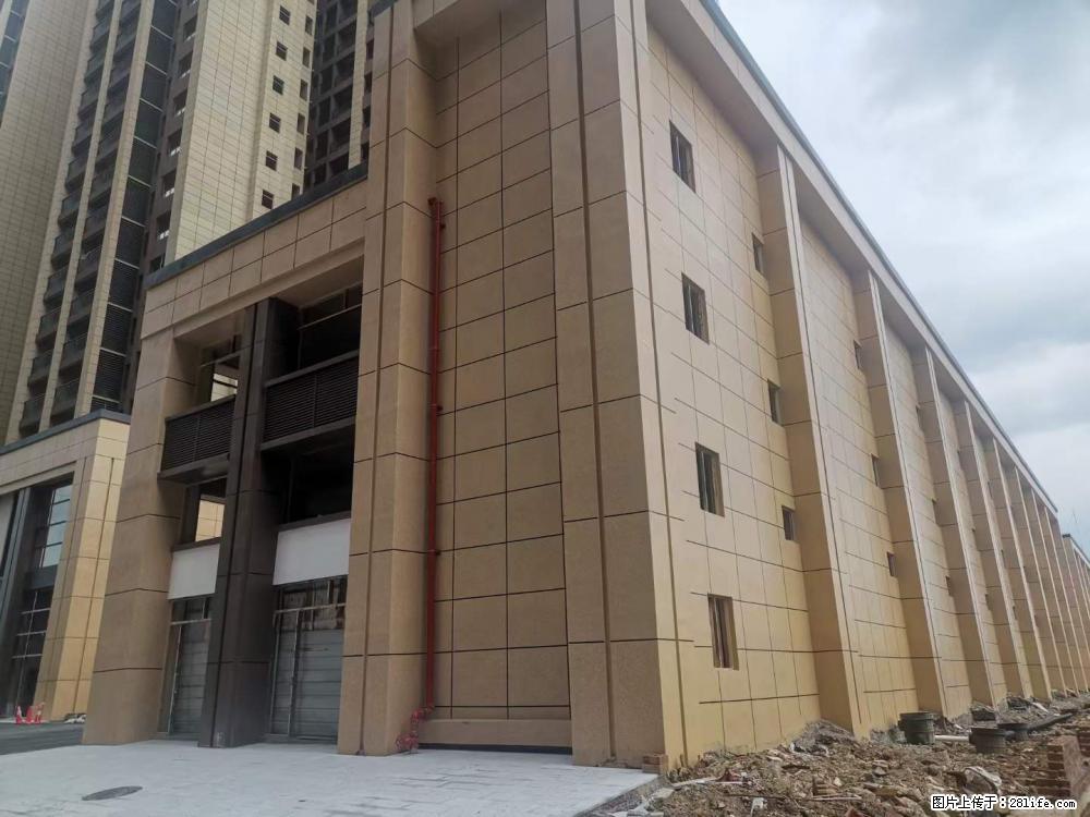 【广西三象建筑安装工程有限公司】外墙涂料工程 - 新手上路 - 邵阳生活社区 - 邵阳28生活网 shaoyang.28life.com