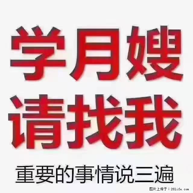 【招聘】月嫂,上海徐汇区 - 职场交流 - 邵阳生活社区 - 邵阳28生活网 shaoyang.28life.com
