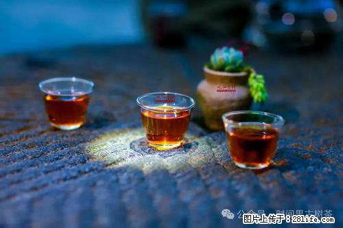 时间果百年古树2025年春红茶 - 购物交流 - 邵阳生活社区 - 邵阳28生活网 shaoyang.28life.com