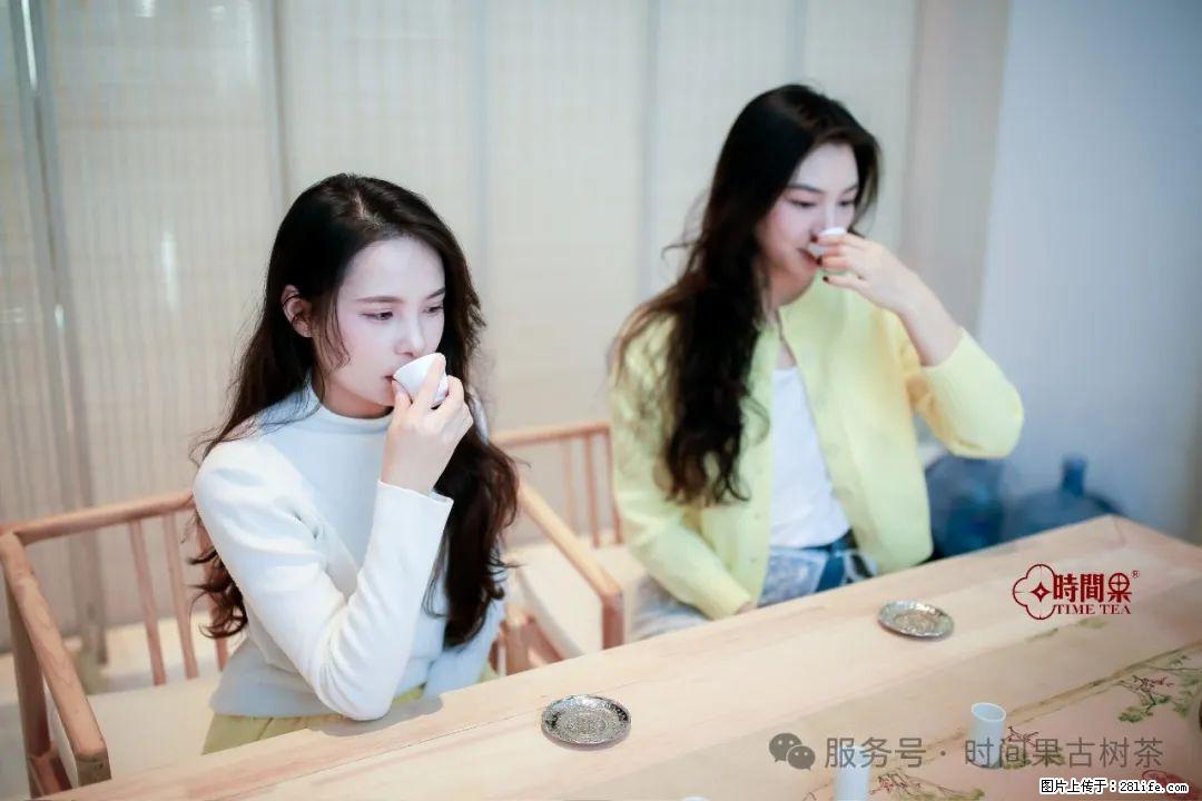 时间果百年古树龙珠普洱生茶 - 购物交流 - 邵阳生活社区 - 邵阳28生活网 shaoyang.28life.com