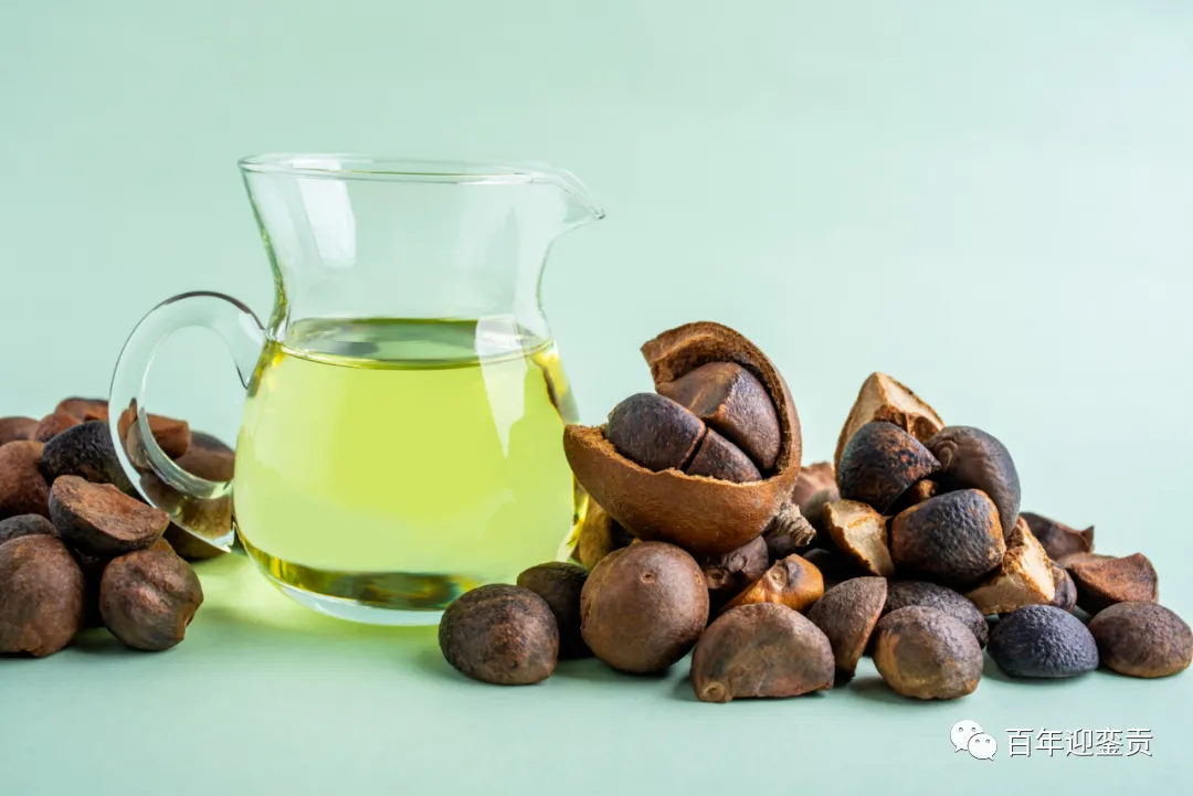 世界没有真相，只有认知，最好的食用油是中国的山茶油！ - 邵阳生活资讯 - 邵阳28生活网 shaoyang.28life.com