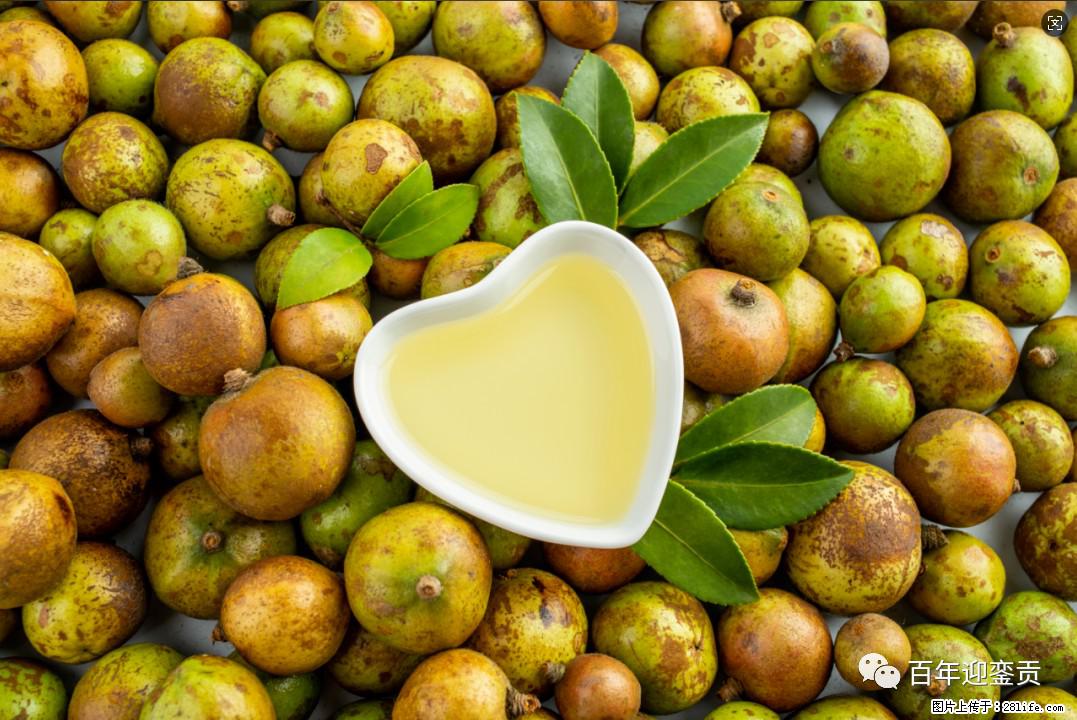 世界没有真相，只有认知，最好的食用油是中国的山茶油！ - 邵阳生活资讯 - 邵阳28生活网 shaoyang.28life.com