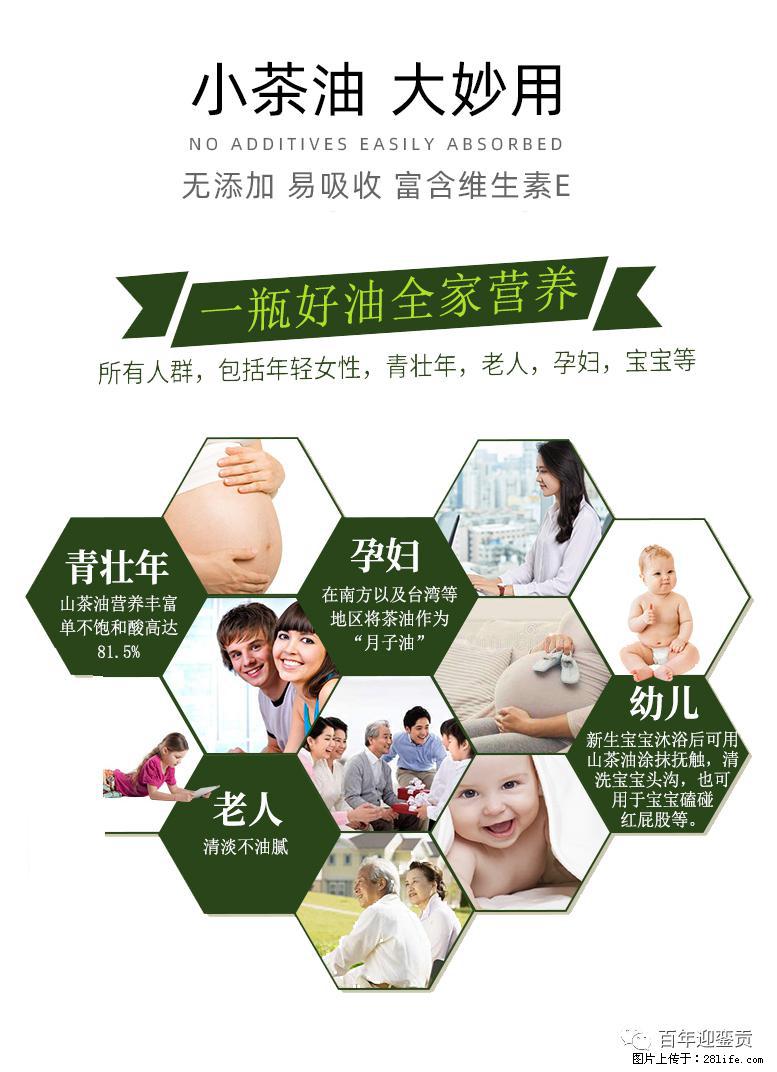 世界没有真相，只有认知，最好的食用油是中国的山茶油！ - 邵阳生活资讯 - 邵阳28生活网 shaoyang.28life.com