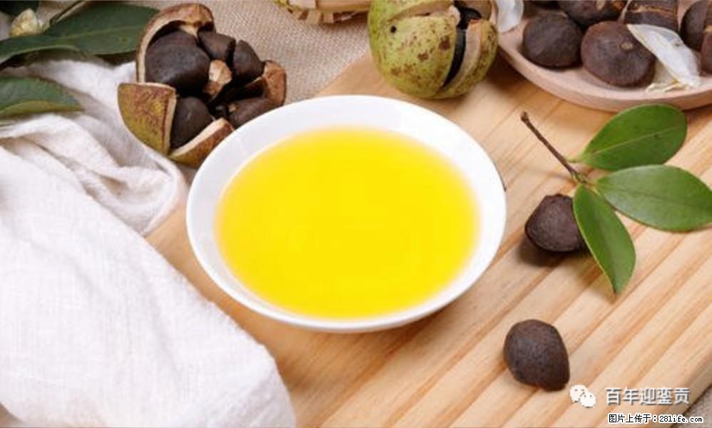 世界没有真相，只有认知，最好的食用油是中国的山茶油！ - 邵阳生活资讯 - 邵阳28生活网 shaoyang.28life.com