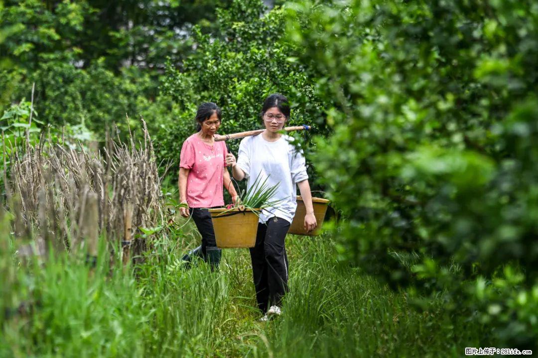 全网追的“扁担女孩”，找了一份暑假工，时薪12元 - 邵阳生活资讯 - 邵阳28生活网 shaoyang.28life.com