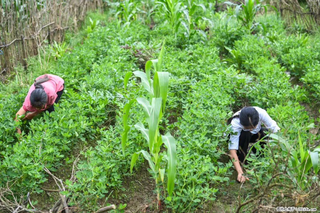 全网追的“扁担女孩”，找了一份暑假工，时薪12元 - 邵阳生活资讯 - 邵阳28生活网 shaoyang.28life.com