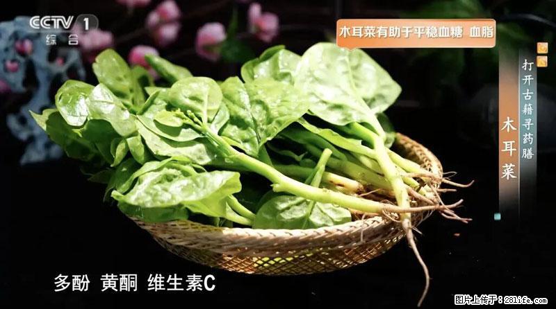 比牛奶补钙还厉害!凉血解毒、稳血糖...这菜冬天必吃,很多人却当草 - 邵阳生活资讯 - 邵阳28生活网 shaoyang.28life.com