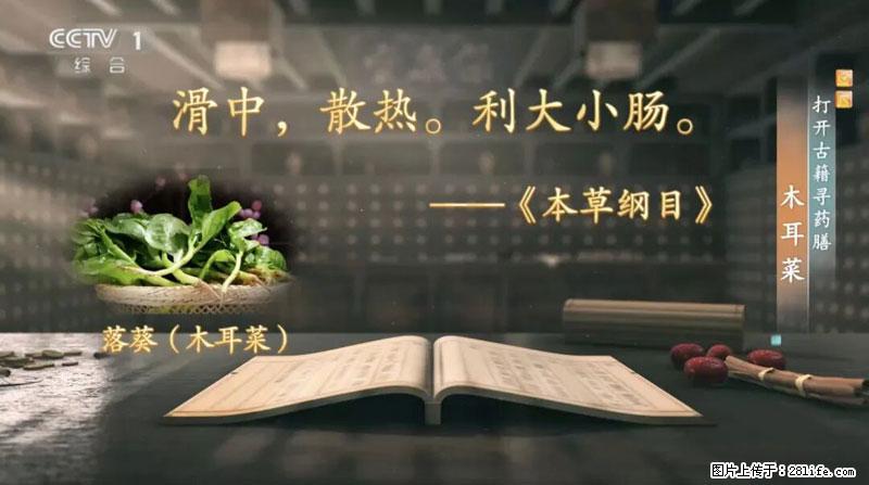 比牛奶补钙还厉害!凉血解毒、稳血糖...这菜冬天必吃,很多人却当草 - 邵阳生活资讯 - 邵阳28生活网 shaoyang.28life.com