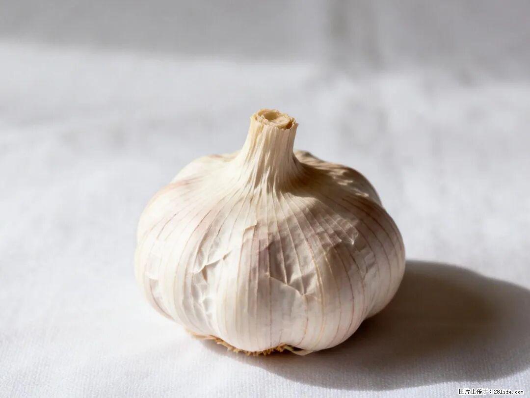 关于大蒜，除了“天然抗生素”，这4个谣言更该警惕! - 邵阳生活资讯 - 邵阳28生活网 shaoyang.28life.com
