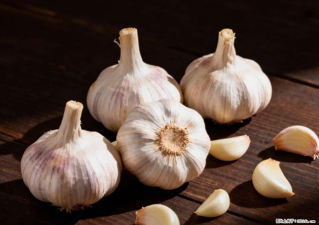 关于大蒜，除了“天然抗生素”，这4个谣言更该警惕! - 邵阳生活资讯 - 邵阳28生活网 shaoyang.28life.com