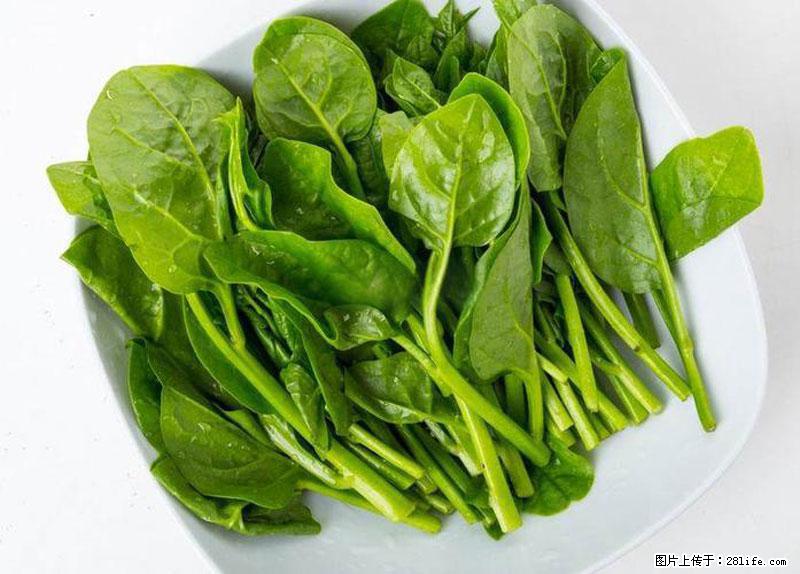这些蔬菜是“天然钙片”，这6种被医生重点推荐 - 邵阳生活资讯 - 邵阳28生活网 shaoyang.28life.com