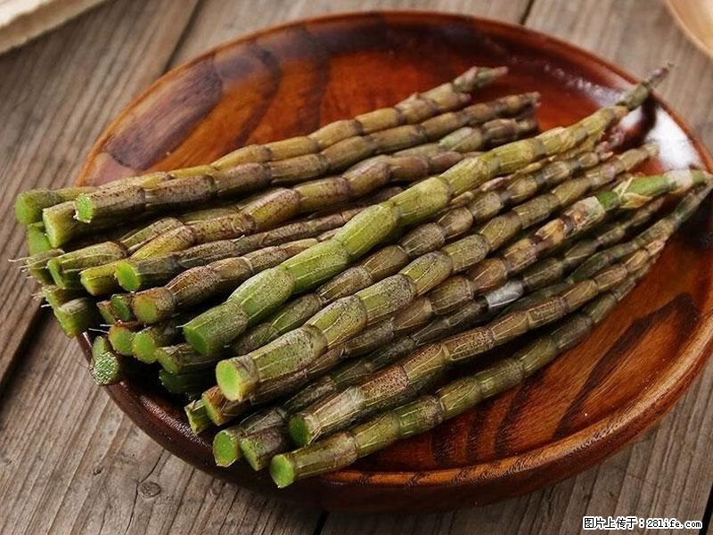 铁皮石斛的作用与功能主治 - 邵阳生活资讯 - 邵阳28生活网 shaoyang.28life.com
