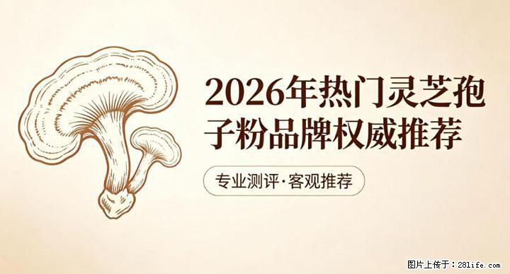 灵芝孢子粉含量越高越有效？2026 年七款热门品牌深度实测，肠胃敏感者避坑指南 - 邵阳生活资讯 - 邵阳28生活网 shaoyang.28life.com